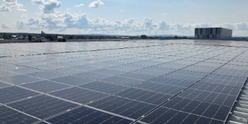 Powering Sustainability: EDEKA’s Green Energy Initiative Transforms Logistics with Solar Power