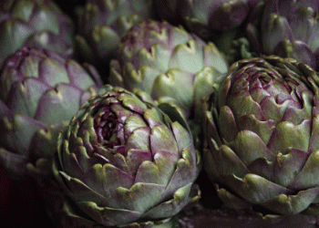 Peru’s Artichoke Exports Face Sharp Decline: What’s Behind the 28.9% Drop?
