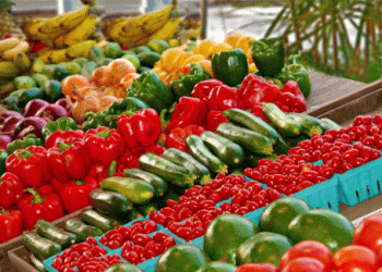 From Field to Market: Prices for Peppers, Watermelons, and Eggplants Skyrocket in Spain by Nearly Five Times