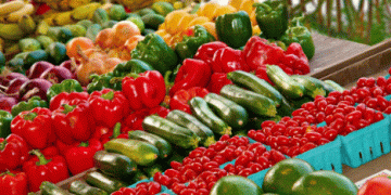 From Field to Market: Prices for Peppers, Watermelons, and Eggplants Skyrocket in Spain by Nearly Five Times
