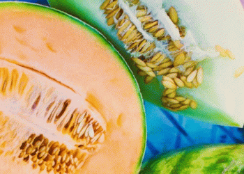 Castile-La Mancha: The Melon Powerhouse of Europe Driving Demand Amidst a Hot Summer