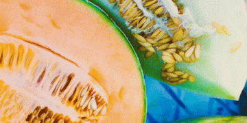 Castile-La Mancha: The Melon Powerhouse of Europe Driving Demand Amidst a Hot Summer