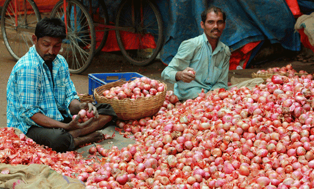 Surge in Kharif Onion Cultivation in Nashik: What Farmers Can Expect for the 2024 Season