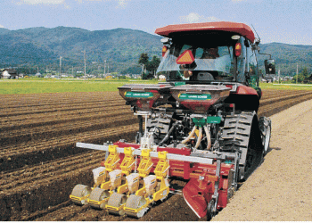 From Rice to Carrots: A Profitable Shift in Japanese Agriculture