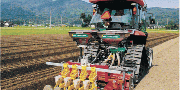 From Rice to Carrots: A Profitable Shift in Japanese Agriculture
