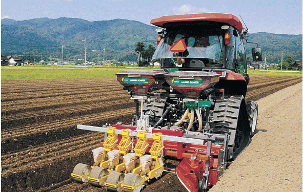 From Rice to Carrots: A Profitable Shift in Japanese Agriculture