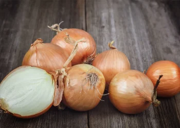 Japanese Food Businesses Shift Focus to Domestic Vegetable Production