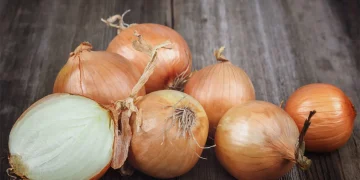 Japanese Food Businesses Shift Focus to Domestic Vegetable Production