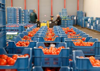 Urgent Reforms Needed to Boost Bangladesh’s Fresh Produce Exports