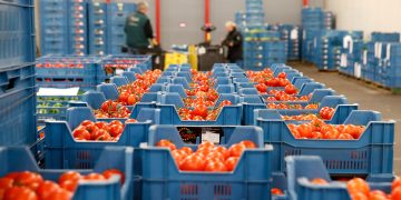 Urgent Reforms Needed to Boost Bangladesh’s Fresh Produce Exports