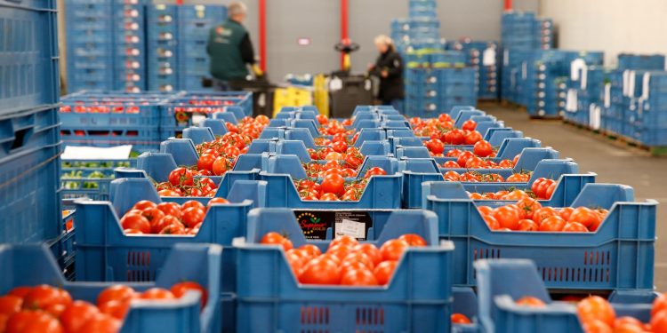 Urgent Reforms Needed to Boost Bangladesh’s Fresh Produce Exports