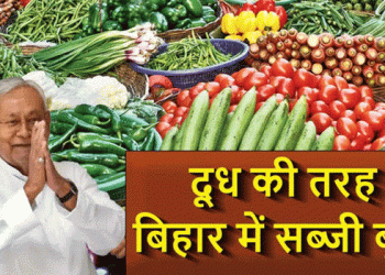 Bihar’s New Vegetable Cluster Strategy: A Win-Win for Farmers and Consumers