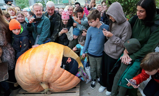 Breaking Records: The Harvest of a 400kg Giant Pumpkin at Aptekarsky Ogorod
