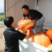Harvesting Halloween Pumpkins in Nagano: A Celebration of Tradition and Community