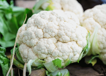 From 5 Kathas to 7 Acres: How One Farmer’s Vision Transformed Cauliflower Farming in Araria