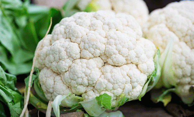 From 5 Kathas to 7 Acres: How One Farmer’s Vision Transformed Cauliflower Farming in Araria