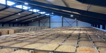 Enhancing Onion Storage: Tolsma-Grisnich’s Latest Project in France