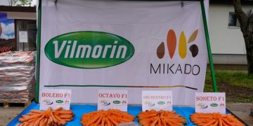 Celebrating Success at the SARGAREPIJADA: A Focus on Carrot Innovations
