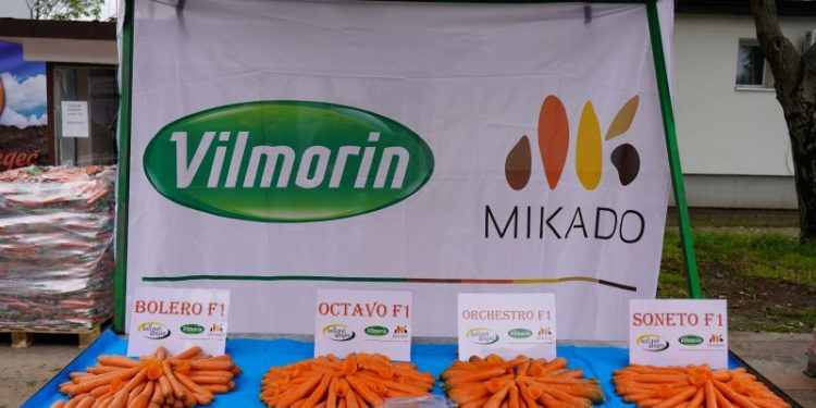 Celebrating Success at the SARGAREPIJADA: A Focus on Carrot Innovations