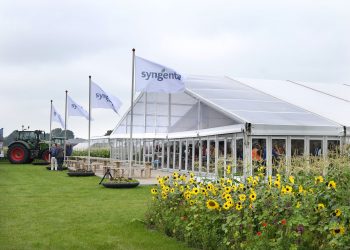 Syngenta’s Climate-Focused Innovations Offer Resilience for Vegetable Growers