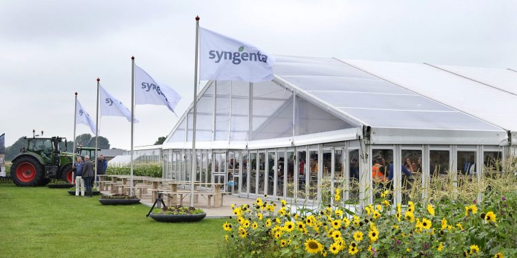 Syngenta’s Climate-Focused Innovations Offer Resilience for Vegetable Growers