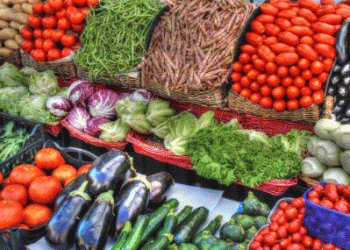 The Surprising Decline in Vegetable Consumption Among Spain’s Younger Generation: A Growing Concern
