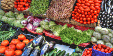 The Surprising Decline in Vegetable Consumption Among Spain’s Younger Generation: A Growing Concern