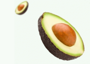Westfalia Fruit Marks a Milestone with First Ever South African Avocado Shipment to China