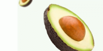 Westfalia Fruit Marks a Milestone with First Ever South African Avocado Shipment to China