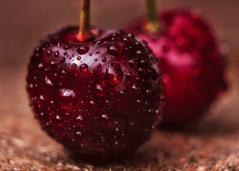 Grupo Margozzini Predicts Strong Cherry Export Season for 2024/25: Plans for Growth and Expansion