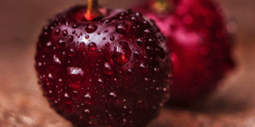 Grupo Margozzini Predicts Strong Cherry Export Season for 2024/25: Plans for Growth and Expansion