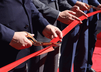 Boosting Local Agriculture: New Baby Carrot Production Facility in Almaty