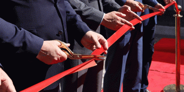 Boosting Local Agriculture: New Baby Carrot Production Facility in Almaty