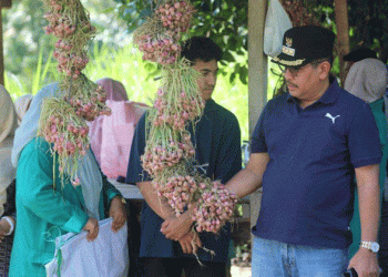 Harvest Success in Lhokseumawe: A Path to Sustainable Red Onion Production and Food Security