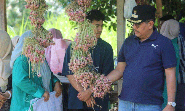 Harvest Success in Lhokseumawe: A Path to Sustainable Red Onion Production and Food Security