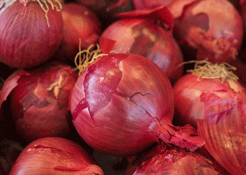 Spanish Onion Surplus: Navigating Price Drops Amidst High Production and Low Demand