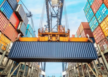 Unexplained Carrot Imports Amid National Surplus: A Crisis for Indonesian Farmers