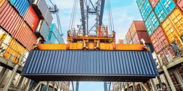 Unexplained Carrot Imports Amid National Surplus: A Crisis for Indonesian Farmers