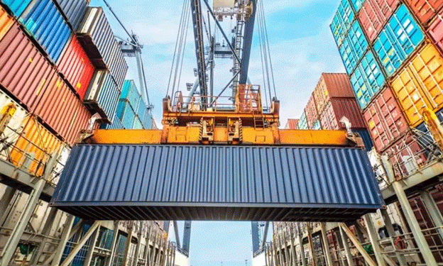 Unexplained Carrot Imports Amid National Surplus: A Crisis for Indonesian Farmers