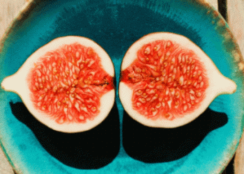Figging It Out: The Mediterranean’s Dominance in the Global Fig Market