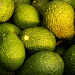 Peru Breaks New Avocado Export Record: Over 539,000 Tons Exported in 2024