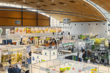 Revolutionizing Asparagus Harvesting: Lommers’ Fully Automated Machine Unveiled at expoSE 2024