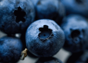 September 2024 Wholesale Prices: Blueberry Prices Surge by 36% in Austria