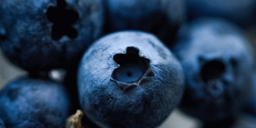 September 2024 Wholesale Prices: Blueberry Prices Surge by 36% in Austria