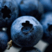 September 2024 Wholesale Prices: Blueberry Prices Surge by 36% in Austria