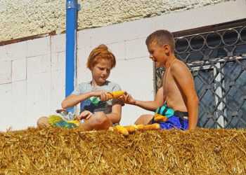 Celebrating Harvest: The “REPA-2024” Festival in Konakovo