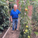 Bountiful Harvest and Lifelong Passion: Thorold Farmer Wins Garden Contest for his Italian-Inspired Vegetable Garden