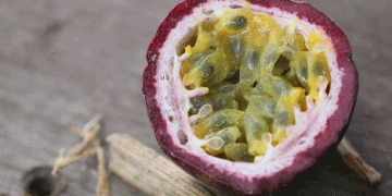 Cusco’s Ambitious Plan to Produce 150,000 Fruit Tree Seedlings: A Boon for Peru’s Tropical Agriculture