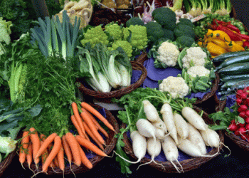 Denmark’s VAT Dilemma: Should Organic Produce Taxes Be Reduced to Boost Demand?