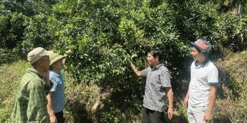 Starting a Farm at 50: The Inspiring Story of a Successful Late-Career Farmer